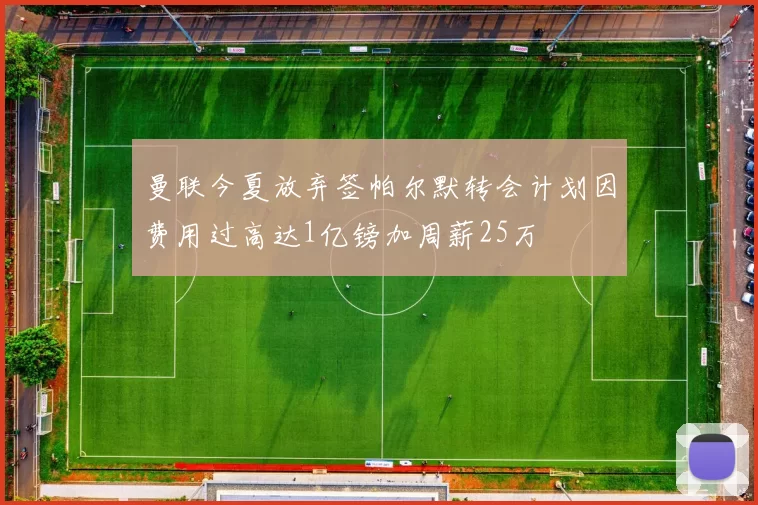 曼联今夏放弃签帕尔默转会计划因费用过高达1亿镑加周薪25万