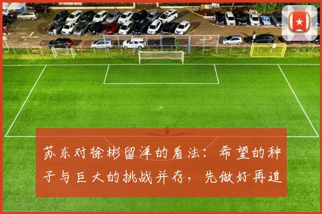 苏东对徐彬留洋的看法：希望的种子与巨大的挑战并存，先做好再追求完美